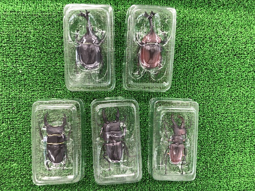 昆虫ハンター全種類