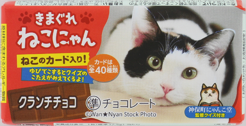 きまぐれねこにゃん