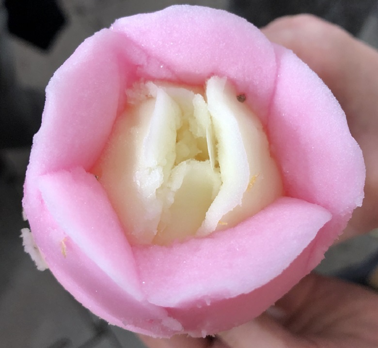 ババヘラアイス上からの写真